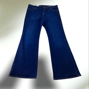 Gap Jeans Ultra Dark Wash Denim Modern Flare 33R